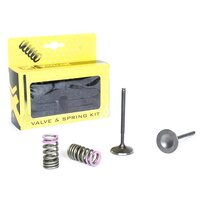 Steel Intake Valve & Spring Upgrade Kit for Honda CRF250R 2004 2005 2006 2007