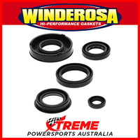 Winderosa 822217 Arctic cat 50 2 cycle 2004-2005 Engine Seal Kit