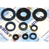 Athena 43.P400220400251 Husqvarna WRK 250 1991-1994 Engine Seal Kit