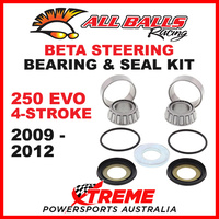 22-1047 Beta 250 EVO 4T 2009-2012 Steering Head Stem Bearing & Seal Kit