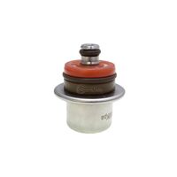 QUANTUM FUEL PRESSURE REGULATOR 43psi / 300kPa for Victory MAGNUM 2016-2017