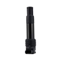 Ignition Stick Coil for BMW R1200ST 2005