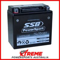 SSB 12V V-SPEC DRY CELL 290 CCA AGM BATTERY YAMAHA YFM660R RAPTOR 2001-2006