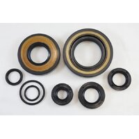 Vintco Oil Seal Kit for Honda MR250 1976