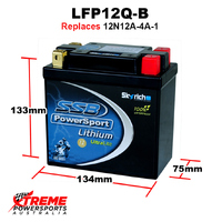 SSB 12V 290 CCA LFP12B-4 Aprilia 250 SCARABEO 2005-2008 Lithium Battery YT12B-4