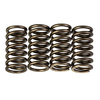 Premier Heavy Duty Clutch Springs for Suzuki GW250 Inazuma 2013-2015