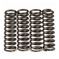 Premier Heavy Duty Clutch Springs for Kawasaki Z750 2009-2010