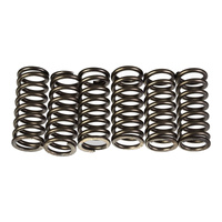 Premier Heavy Duty Clutch Springs for Husqvarna TC125 2014-2020