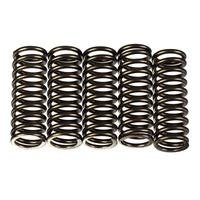 Premier Heavy Duty Clutch Springs for Honda CRF250R 2011-2025