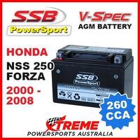 SSB 12V V-SPEC DRY CELL AGM 260 CCA BATTERY HONDA NSS250 NSS 250 FORZA 2000-2008