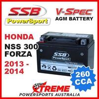 SSB 12V V-SPEC DRY CELL AGM 260 CCA BATTERY HONDA NSS300 NSS 300 FORZA 2013-2014