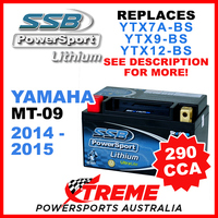 SSB 12V 290 CCA Yamaha MT-09 2014-2015 LFP14H-BS Lithium Battery