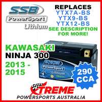 SSB 12V 290 CCA Kawasaki Ninja 300 2013-2015 LFP14H-BS Lithium Battery