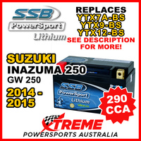 SSB 12V 290 CCA For Suzuki VX800 VX 800 1990-1996 LFP14H-BS Lithium Battery