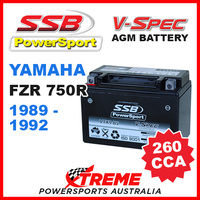 SSB 12V V-SPEC DRY CELL AGM 260 CCA BATTERY YAMAHA FZR750R FZR 750R 1989-1992