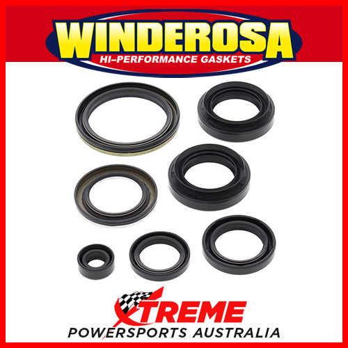 Winderosa 822239 Arctic cat 400 Auto 2003-2007 Engine Seal Kit