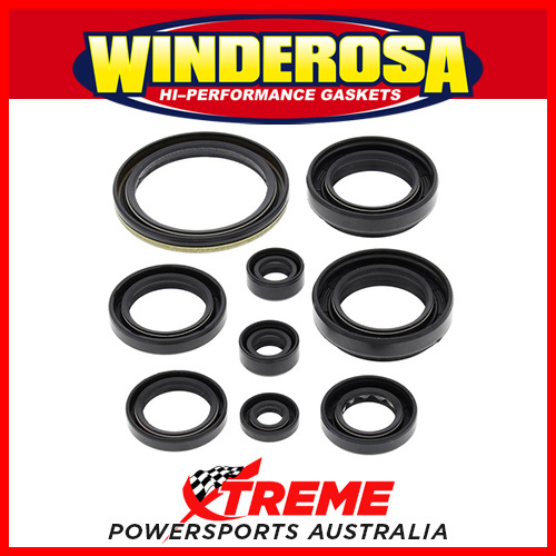 Winderosa 822259 Arctic cat 500 Auto 2000-2009 Engine Seal Kit