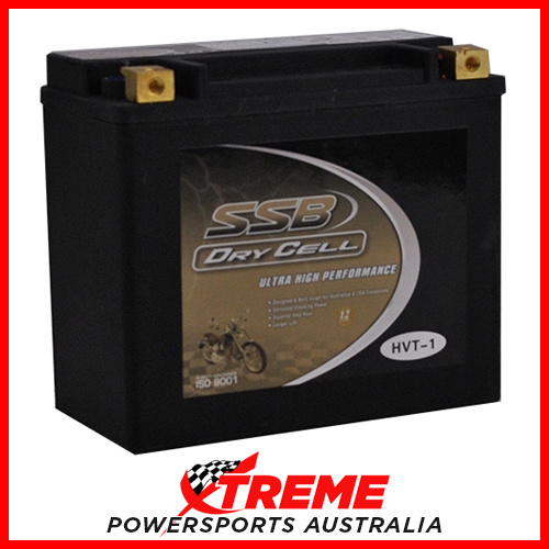 SSB Ultra Performance 12V 450CCA HVT-1 Buell S3T THUNDERBOLT 1997-2000 AGM Battery