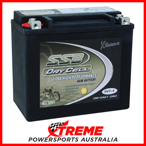 SSB Ultra Performance 12V 425CCA 19AH HVT-4 Buell RS 1200 1989-1992 AGM Battery