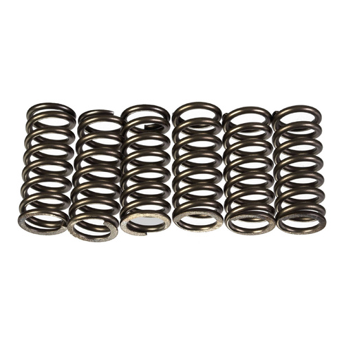 Premier Heavy Duty Clutch Springs for KTM 250 SXF Factory Edition 2016-2017